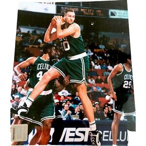 Boston Celtics Dino Radja 8"x10" Photo